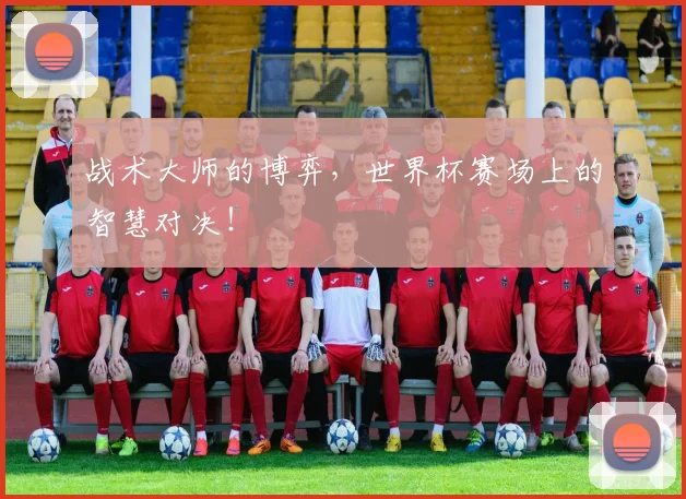战术大师的博弈，世界杯赛场上的智慧对决！