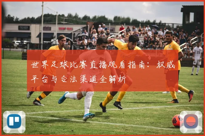 世界足球比赛直播观看指南：权威平台与合法渠道全解析