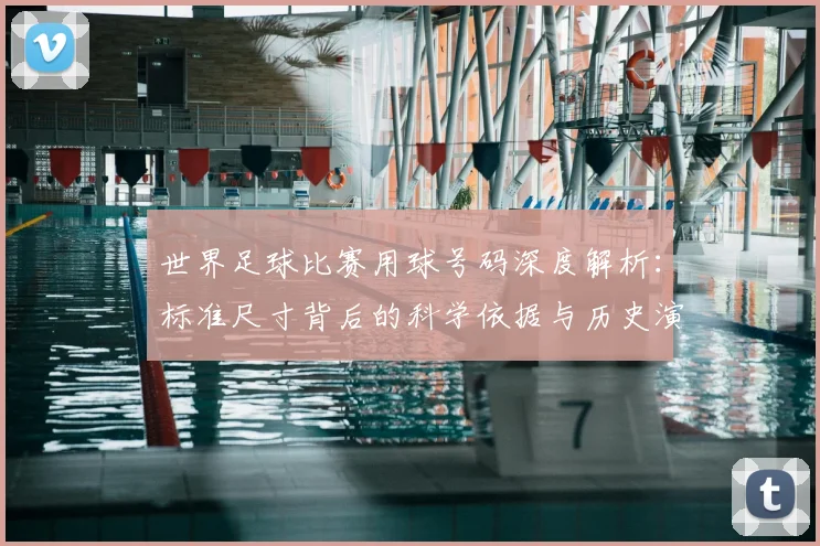 世界足球比赛用球号码深度解析：标准尺寸背后的科学依据与历史演变