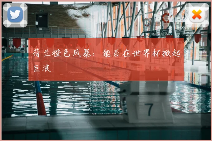 荷兰橙色风暴，能否在世界杯掀起巨浪